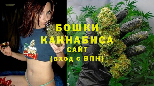 сатива Новодвинск
