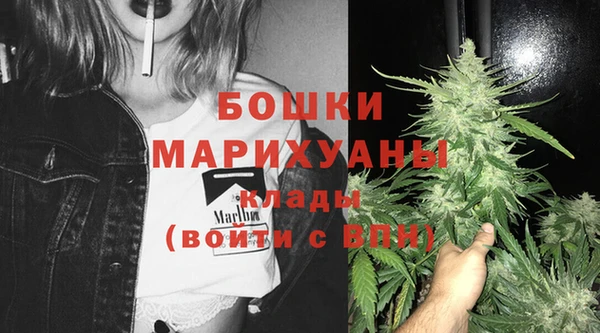 сатива Новодвинск