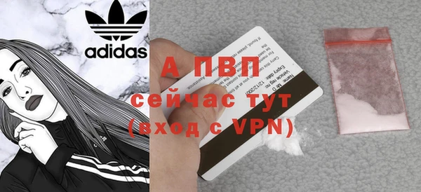 сатива Новодвинск