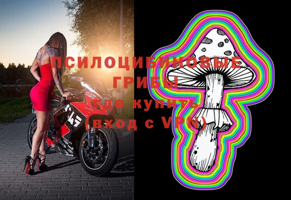 таблы Новокубанск