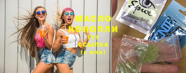 сатива Новодвинск