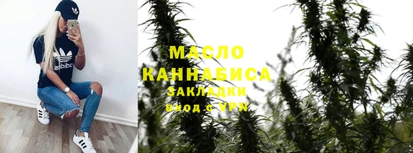 сатива Новодвинск