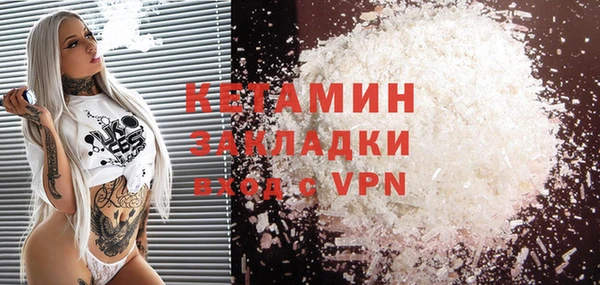 индика Няндома