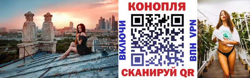 Бошки Шишки VHQ Остров